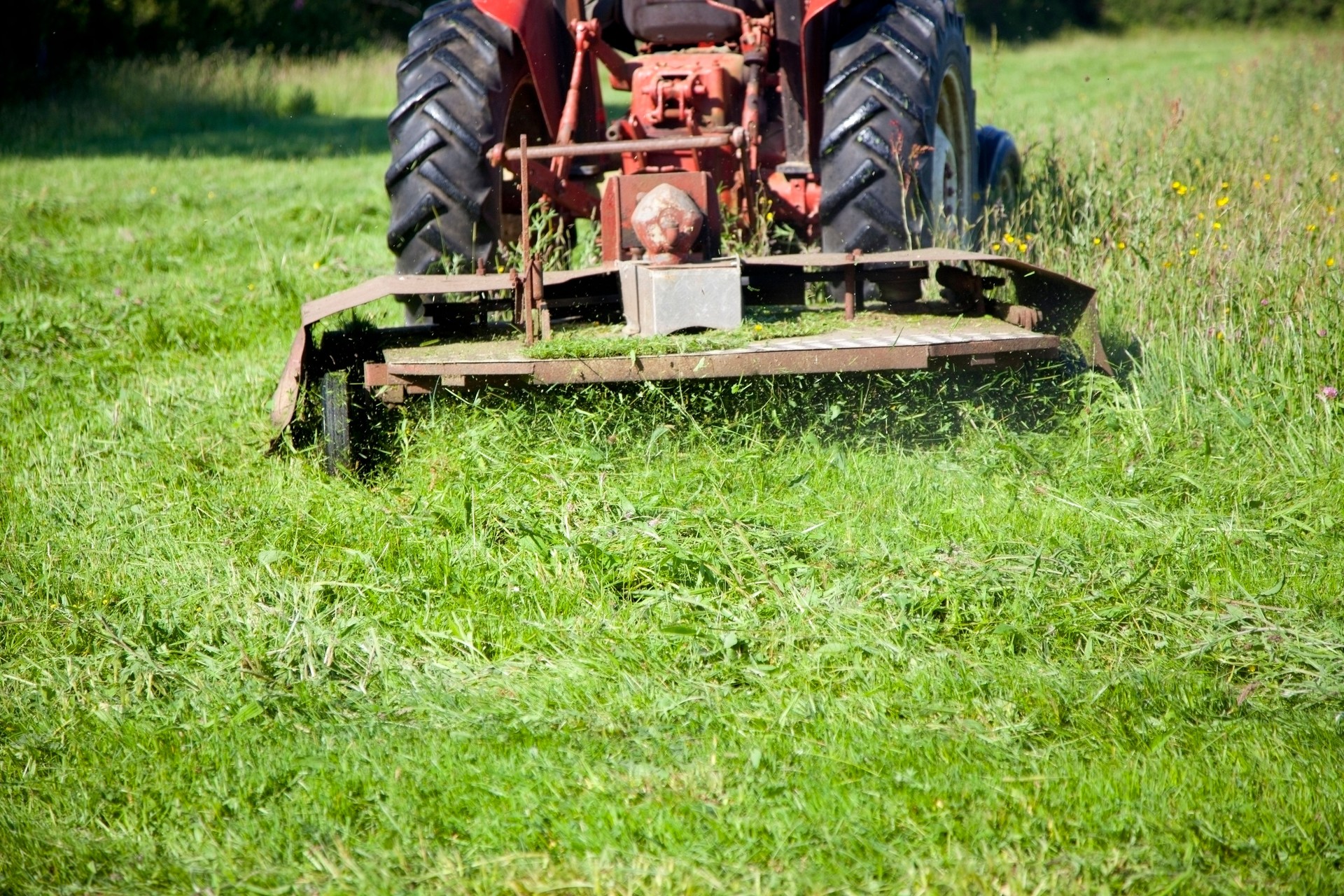 tractor mowing paddock